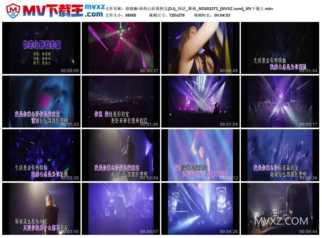 徐晓桐-你的心肝我的宝(DJ)_国语_舞曲_MD202373